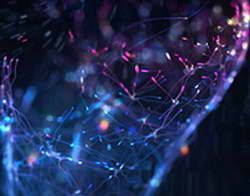 Переподготовка врачей: ваш ключ к востребованной медицинской специальности