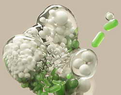 Фондовый рынок, Daily history за 29 августа 2025 г.