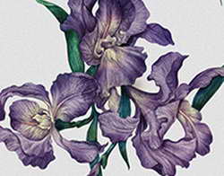 Биткоин углубляет снижение, заставляя волноваться за аптренд