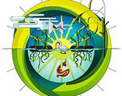 Что дают за третьего ребенка в 2026 году?