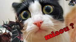 Фондовый рынок, Daily history за 13 августа 2025 г.